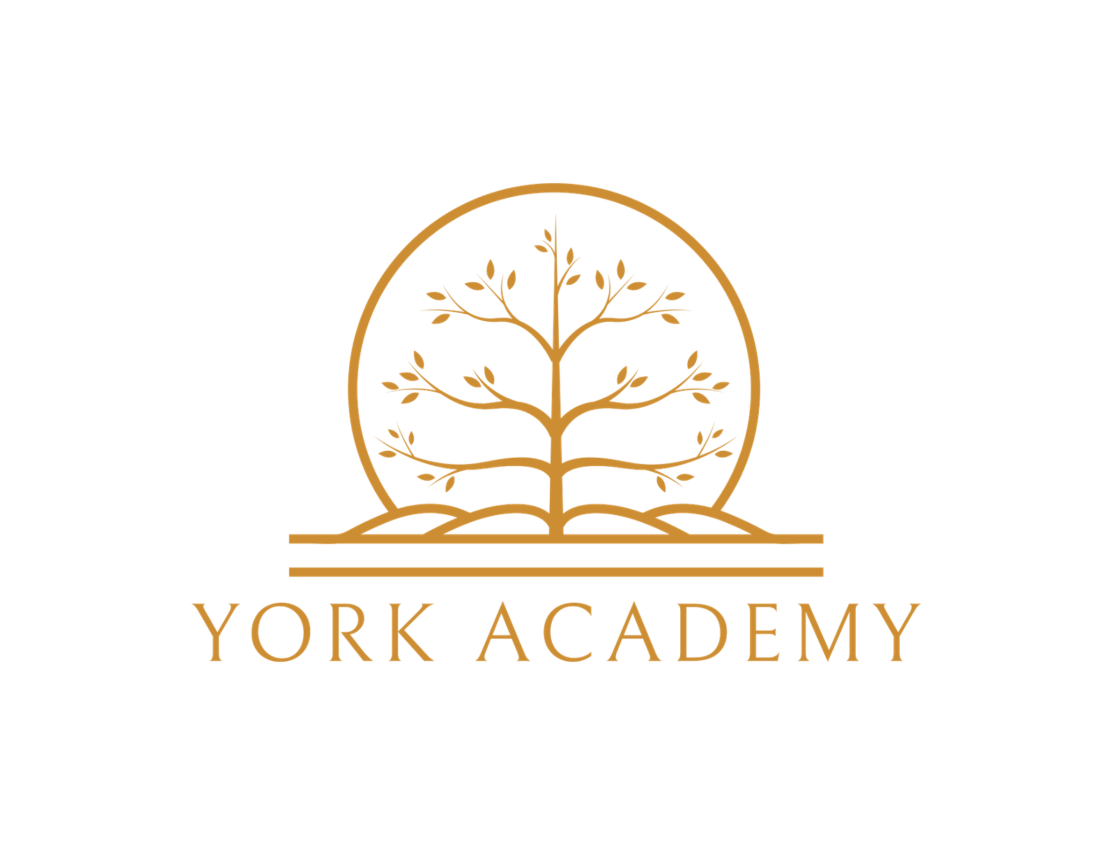 yorkacademy.co.uk