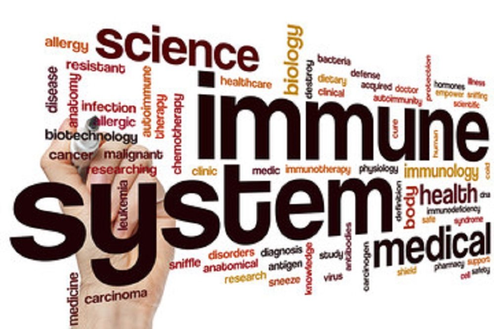 OVERVIEW OF CLINICAL MANIFESTATIONS AND TESTING FOR SPECIFIC COMPONENTS OF THE IMMUNE SYSTEM